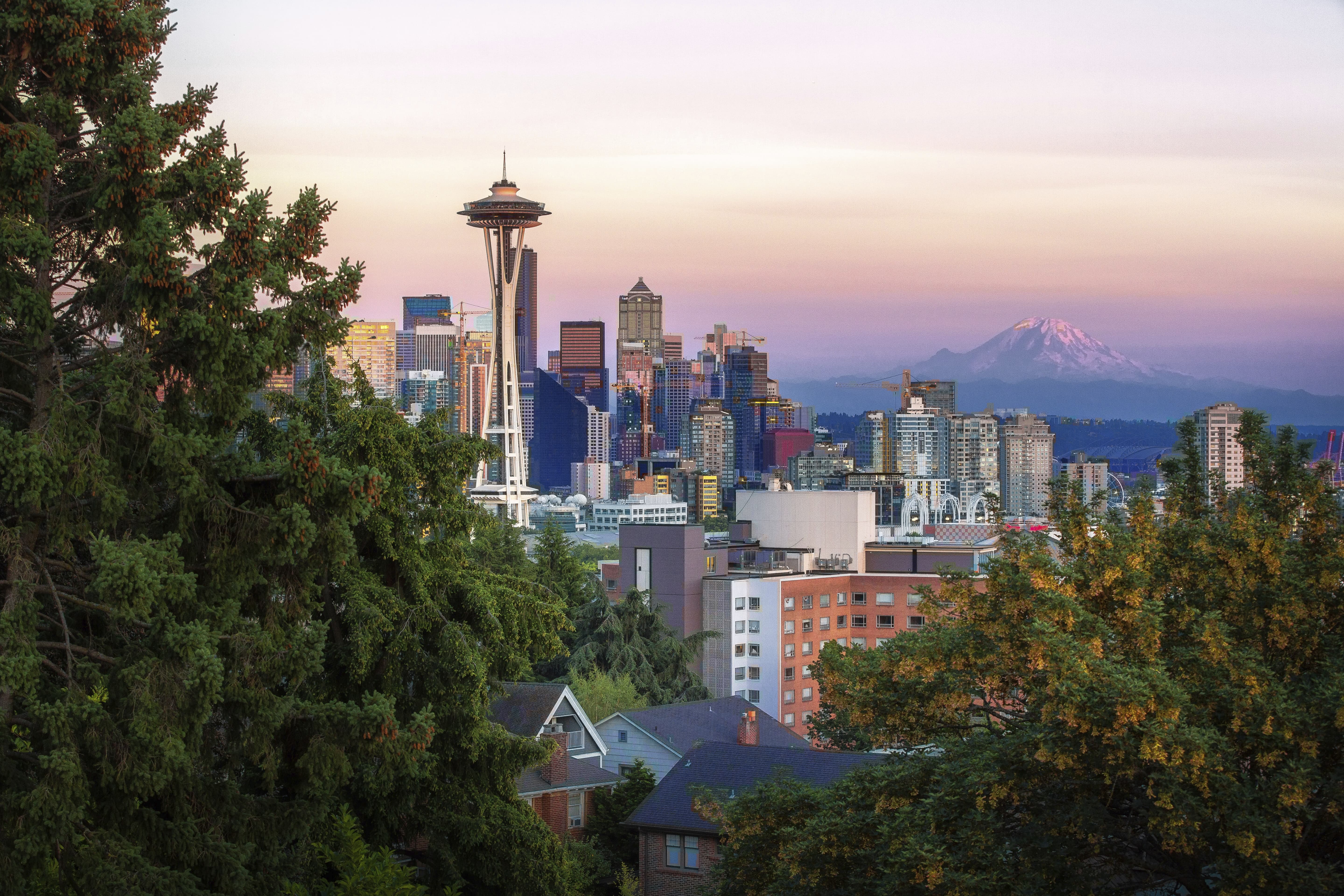 A view of seattle through trees with Tahoma (Mount Rainier) in the background.